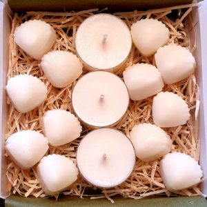 Spa Day Soy Wax Tealights & Melts